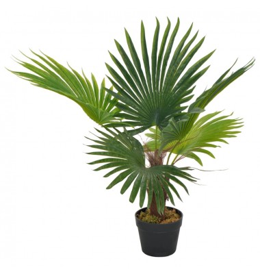  Dirbtinė palmė su vazonu, 70 cm, žalias - Dirbtiniai augalai - 1