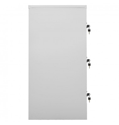  Spintelės, 2vnt., šviesiai pilkos, 90x45x92,5cm, plienas - Biuro spintos, spintelės - 4