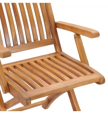  Sulankstomos sodo kėdės su pagalvėlėmis, 4vnt., tikmedis - Lauko kėdės - 5