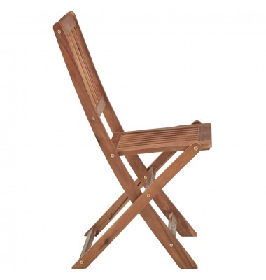  Sulankstomos lauko kėdės, 2vnt., akacijos medienos masyvas - Lauko kėdės - 4