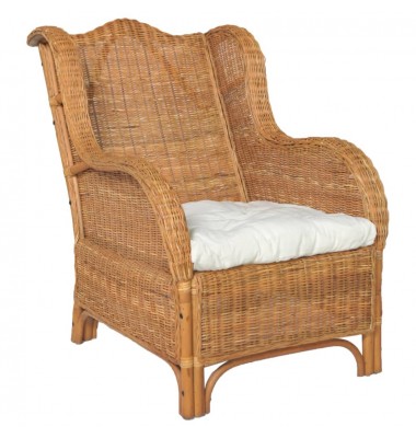  Krėslas su pagalvėle, šviesiai rudas, natūralus ratanas/linas - Sofos, sofos-lovos - 1