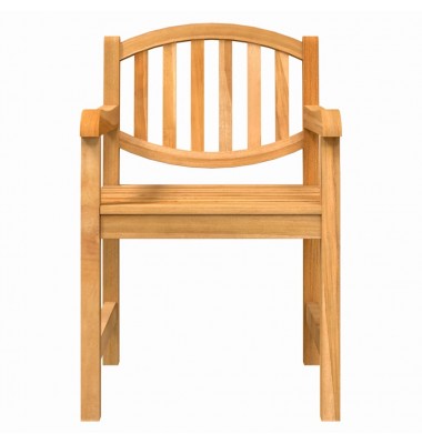  Sodo kėdės, 2vnt., 58x59x88cm, tikmedžio medienos masyvas - Lauko kėdės - 4