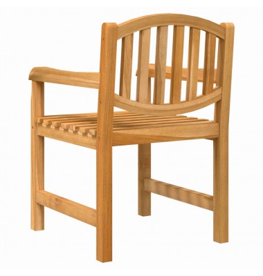  Sodo kėdės, 2vnt., 58x59x88cm, tikmedžio medienos masyvas - Lauko kėdės - 6